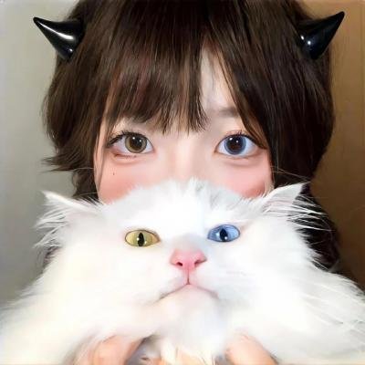 探险活宝第七季